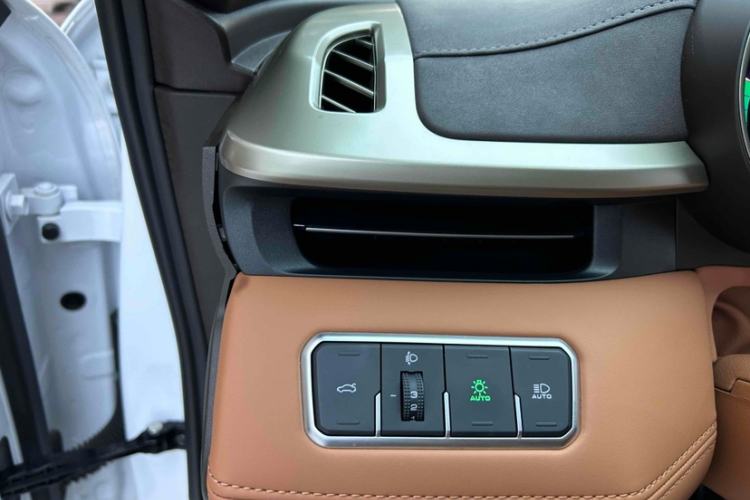 Used ORA Lightning Cat 2022 555 km Luxury Edition Interior 11