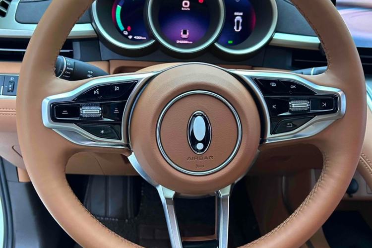 Used ORA Lightning Cat 2022 555 km Luxury Edition Interior 12