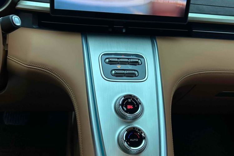 Used ORA Lightning Cat 2022 555 km Luxury Edition Interior 13