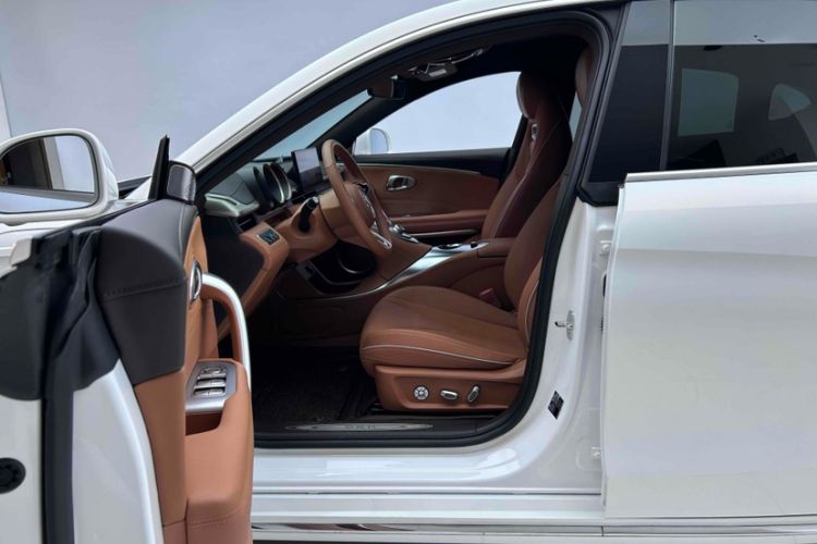 Used ORA Lightning Cat 2022 555 km Luxury Edition Interior 8
