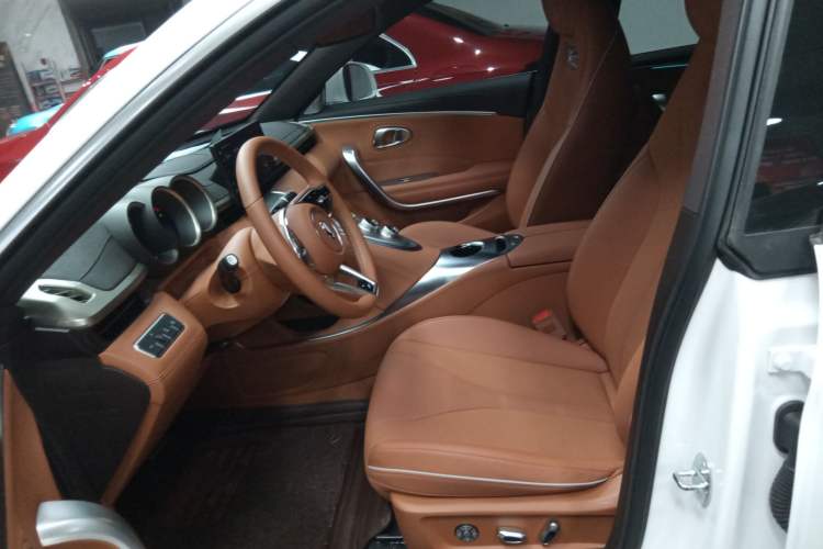 Used ORA Lightning Cat 2022 555 km Luxury Edition Left Front Seat