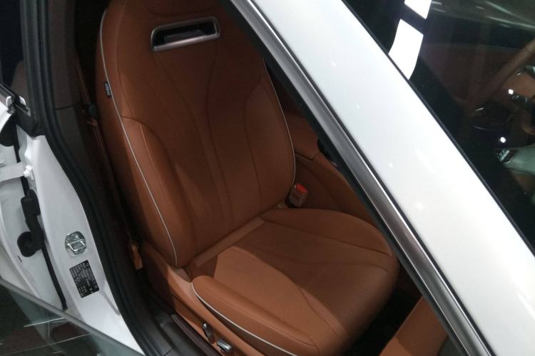 Used ORA Lightning Cat 2022 555 km Luxury Edition Right Front Seat