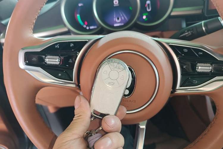 Used ORA Lightning Cat 2022 555 km Luxury Edition Interior 1