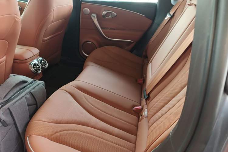 Used ORA Lightning Cat 2022 555 km Luxury Edition Left Rear Seat