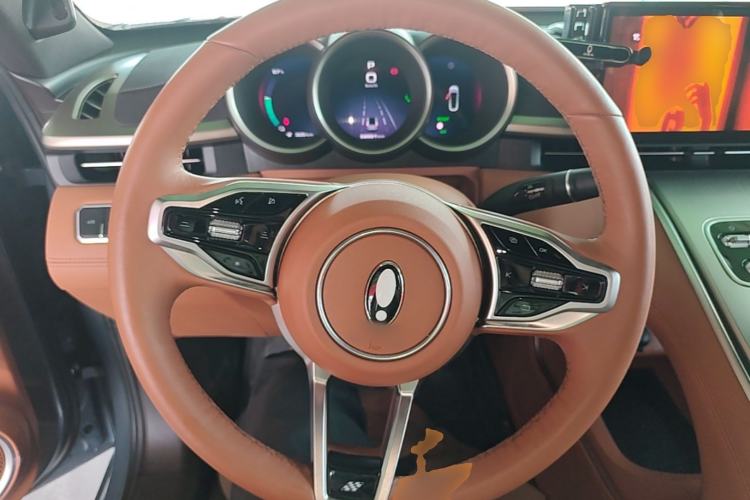 Used ORA Lightning Cat 2022 555 km Luxury Edition Steering Wheel