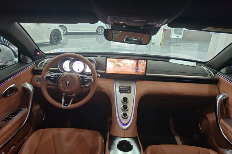 Used ORA Lightning Cat 2022 555 km Luxury Edition Center Console