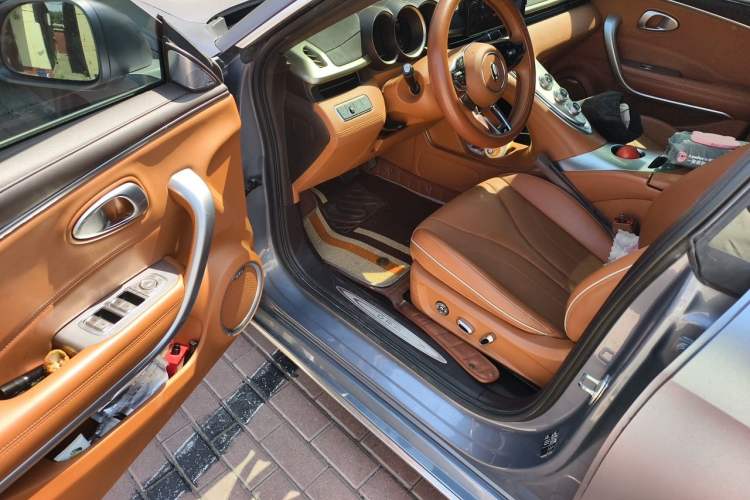 Used ORA Lightning Cat 2022 555 km Luxury Edition Driver Seat