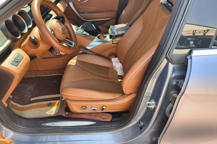 Used ORA Lightning Cat 2022 555 km Luxury Edition Left Front Seat