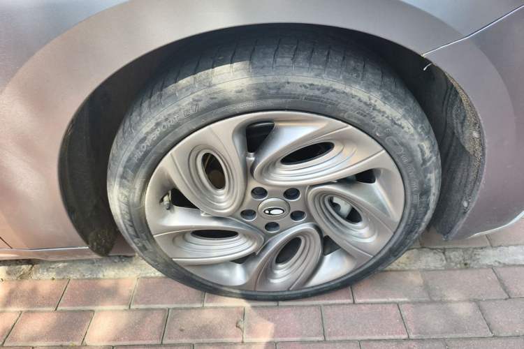 Used ORA Lightning Cat 2022 555 km Luxury Edition Right Front Wheel Hub