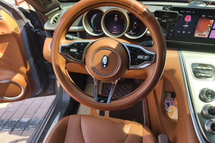 Used ORA Lightning Cat 2022 555 km Luxury Edition Steering Wheel