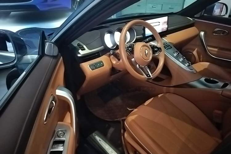 Used ORA Lightning Cat 2022 555 km Luxury Edition Driver Seat