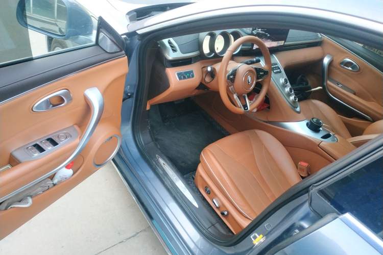 Used ORA Lightning Cat 2022 555 km Luxury Edition Driver Seat