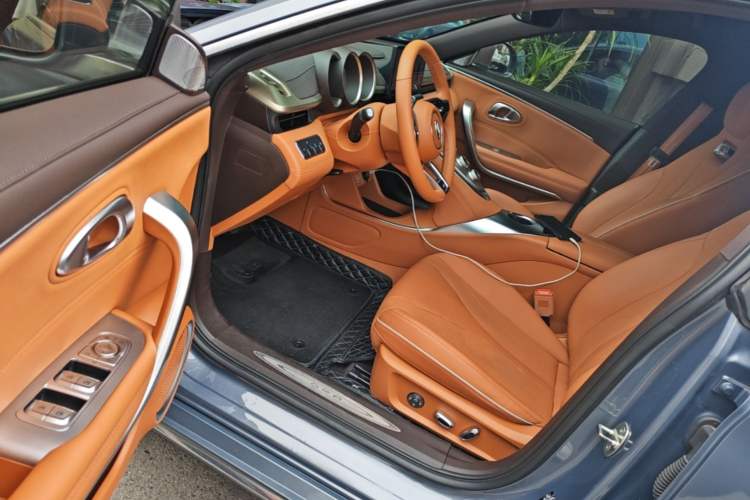 Used ORA Lightning Cat 2022 555 km Luxury Edition Driver Seat