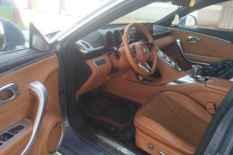 Used ORA Lightning Cat 2022 555 km Luxury Edition Driver Seat