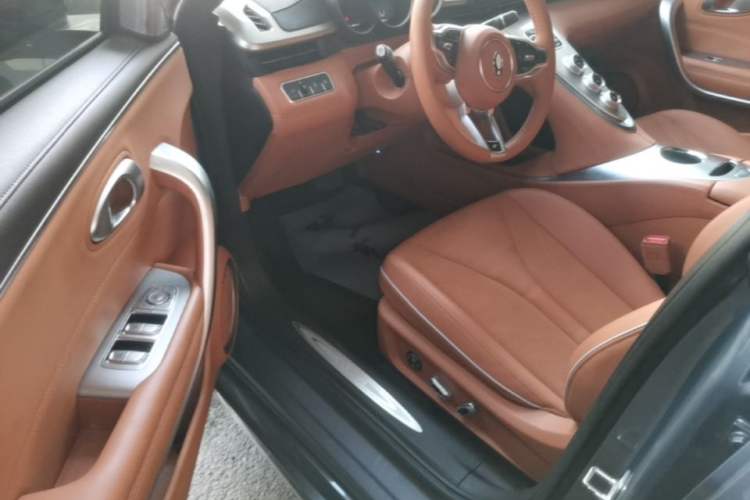 Used ORA Lightning Cat 2022 555 km Luxury Edition Driver Seat