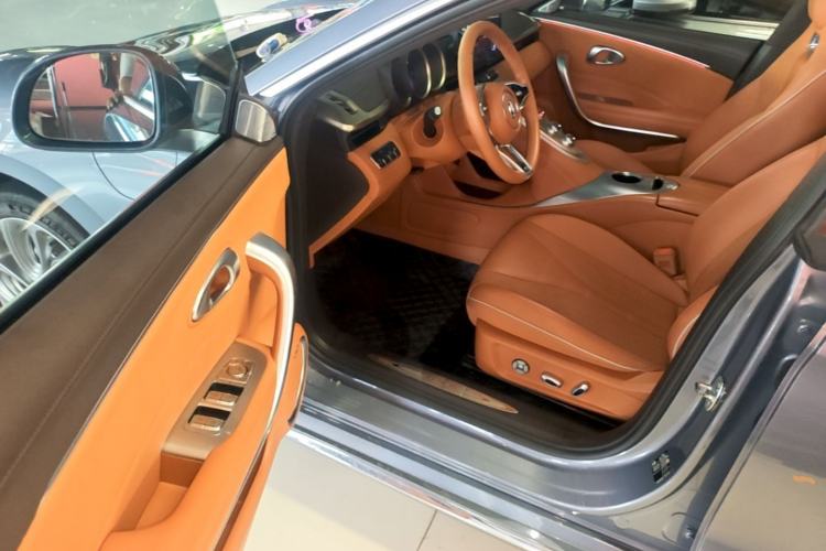 Used ORA Lightning Cat 2022 555 km Luxury Edition Driver Seat