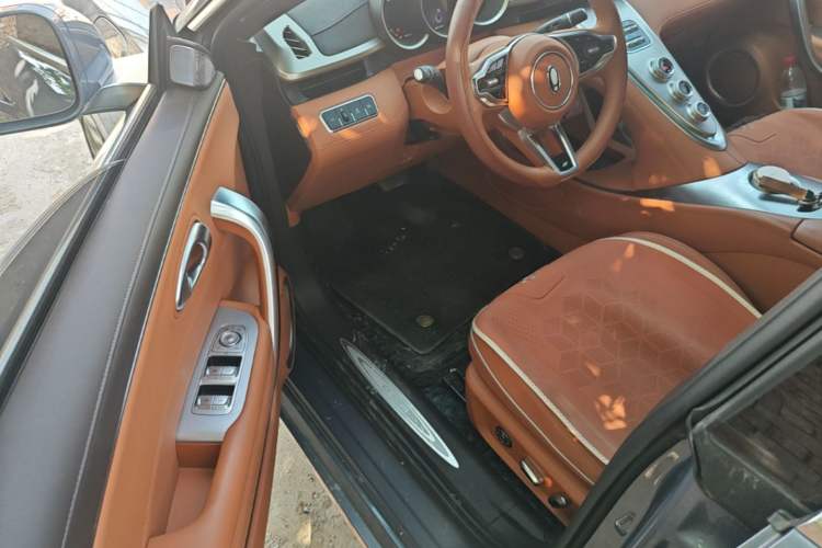 Used ORA Lightning Cat 2022 555 km Luxury Edition Driver Seat