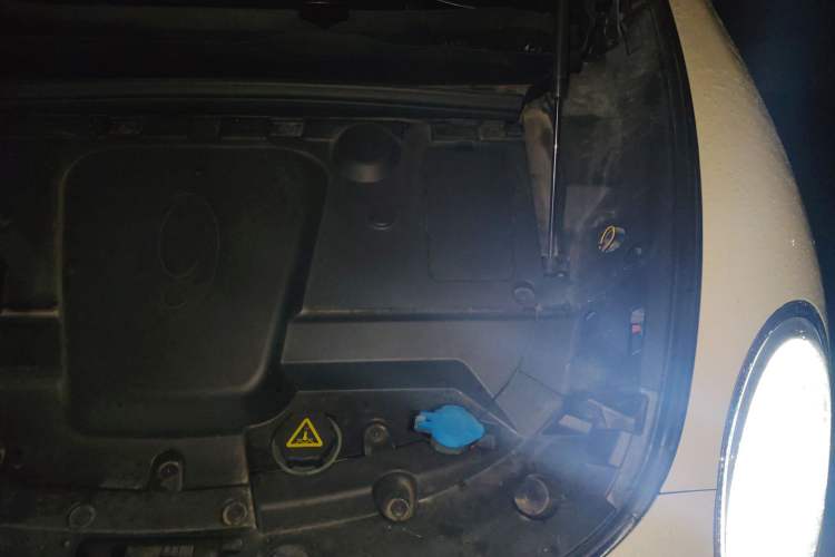 Used ORA Lightning Cat 2022 555 km Luxury Edition Engine Bay Left