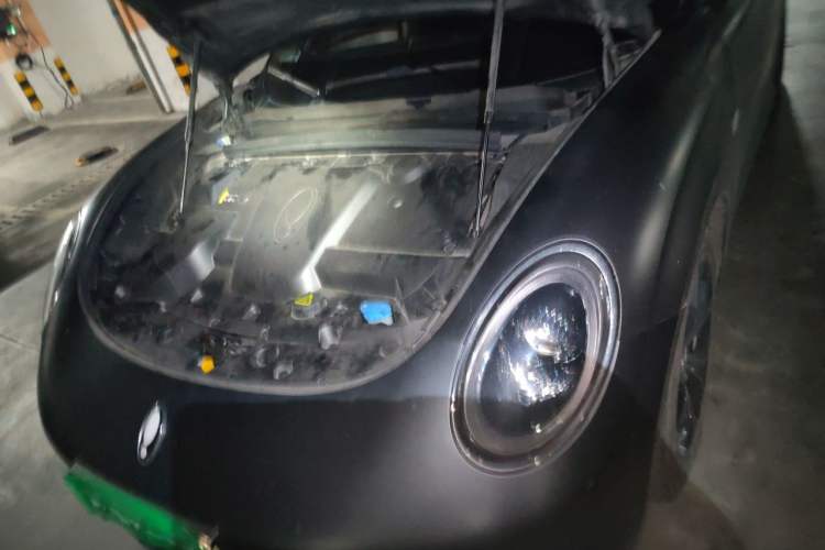 Used ORA Lightning Cat 2022 555 km Luxury Edition Engine Bay Left