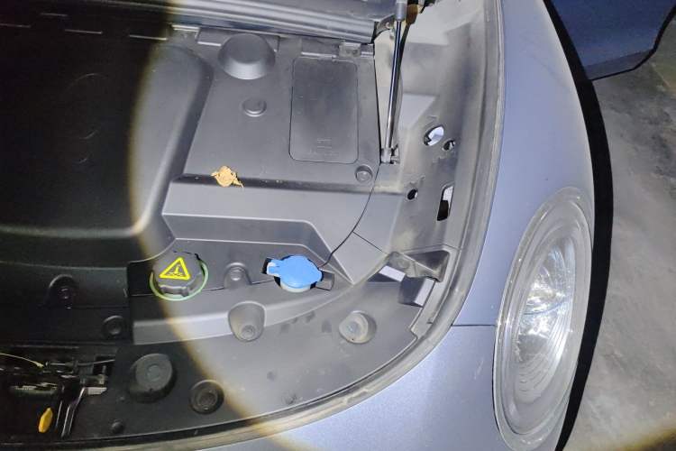 Used ORA Lightning Cat 2022 555 km Luxury Edition Engine Bay Left