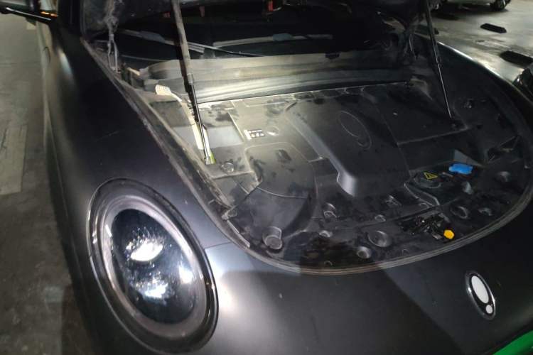 Used ORA Lightning Cat 2022 555 km Luxury Edition Engine Bay Right