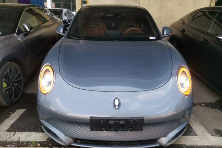 Used ORA Lightning Cat 2022 555 km Luxury Edition Front