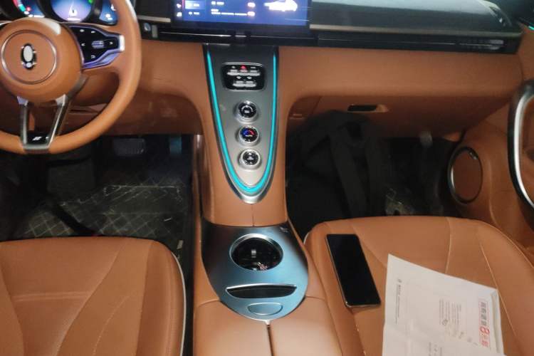 Used ORA Lightning Cat 2022 555 km Luxury Edition Gear Lever