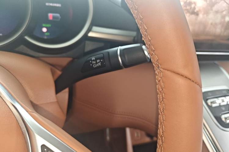 Used ORA Lightning Cat 2022 555 km Luxury Edition Gear Lever