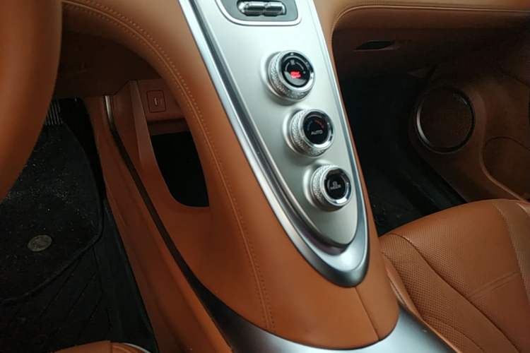 Used ORA Lightning Cat 2022 555 km Luxury Edition Gear Lever