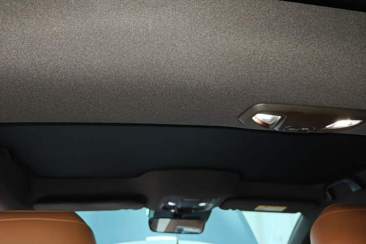 Used ORA Lightning Cat 2022 555 km Luxury Edition Headliner