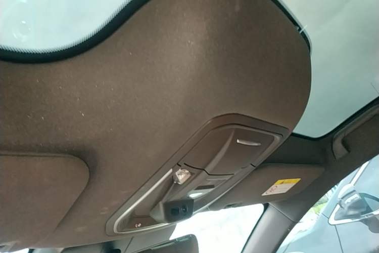 Used ORA Lightning Cat 2022 555 km Luxury Edition Headliner