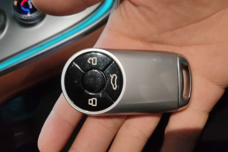 Used ORA Lightning Cat 2022 555 km Luxury Edition Interior 1