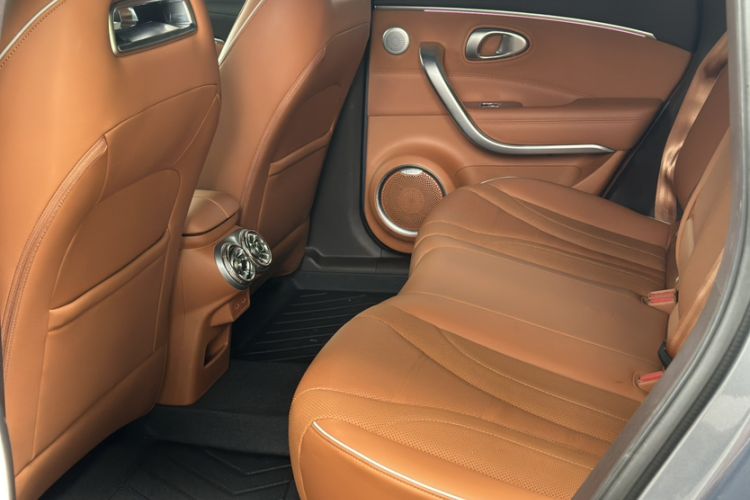 Used ORA Lightning Cat 2022 555 km Luxury Edition Interior 1
