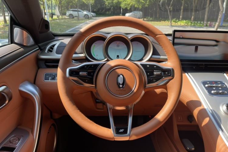 Used ORA Lightning Cat 2022 555 km Luxury Edition Interior 2