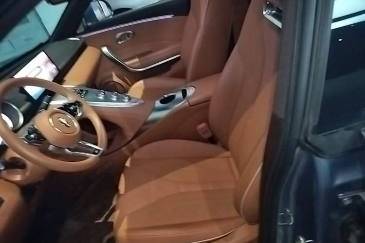 Used ORA Lightning Cat 2022 555 km Luxury Edition Left Front Seat