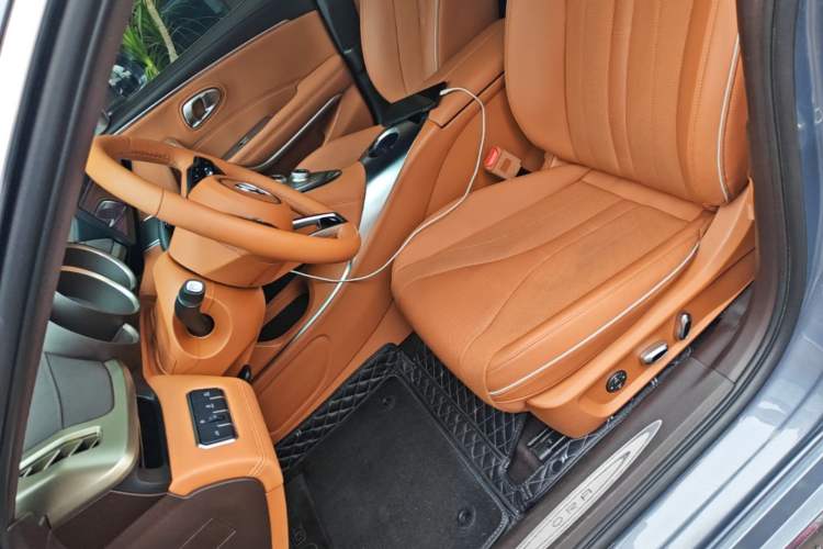 Used ORA Lightning Cat 2022 555 km Luxury Edition Left Front Seat