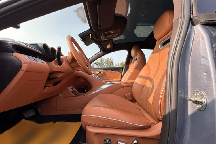 Used ORA Lightning Cat 2022 555 km Luxury Edition Left Front Seat
