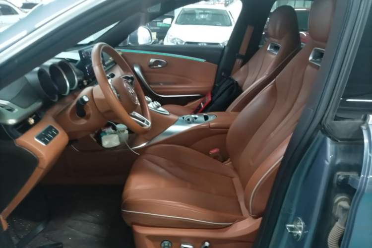 Used ORA Lightning Cat 2022 555 km Luxury Edition Left Front Seat