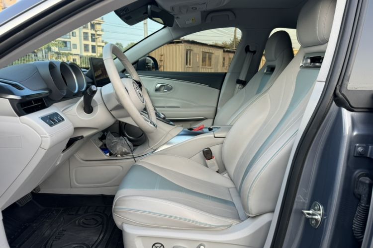 Used ORA Lightning Cat 2022 555 km Luxury Edition Left Front Seat