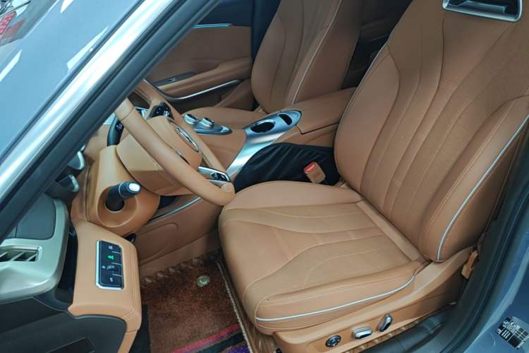 Used ORA Lightning Cat 2022 555 km Luxury Edition Left Front Seat