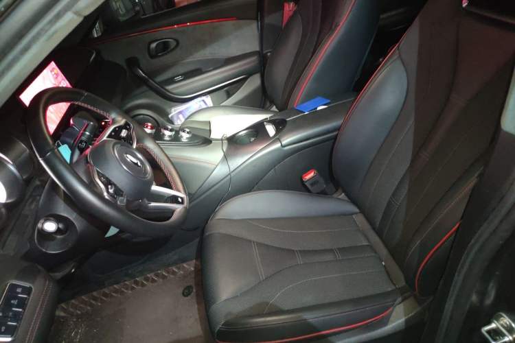 Used ORA Lightning Cat 2022 555 km Luxury Edition Left Front Seat