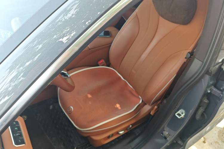 Used ORA Lightning Cat 2022 555 km Luxury Edition Left Front Seat