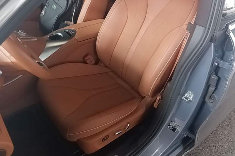Used ORA Lightning Cat 2022 555 km Luxury Edition Left Front Seat