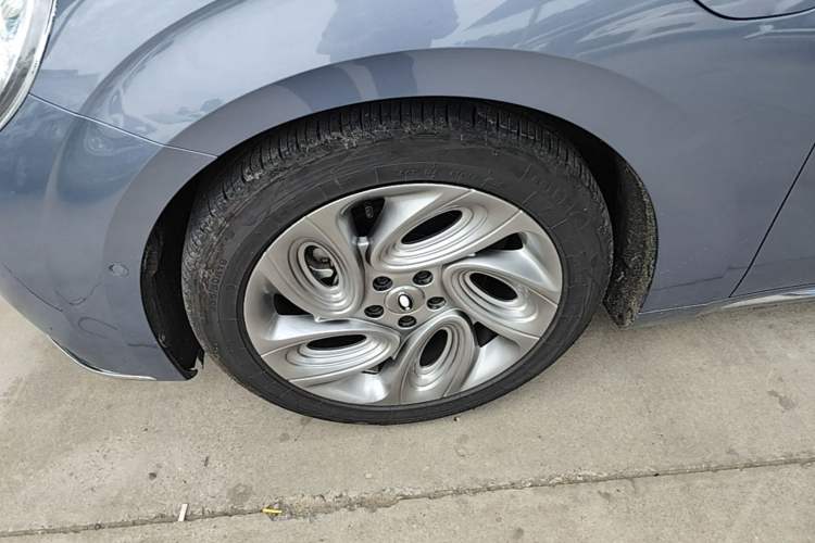 Used ORA Lightning Cat 2022 555 km Luxury Edition Left Front Wheel Hub