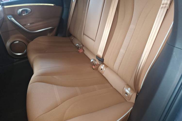 Used ORA Lightning Cat 2022 555 km Luxury Edition Left Rear Seat