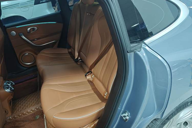 Used ORA Lightning Cat 2022 555 km Luxury Edition Left Rear Seat