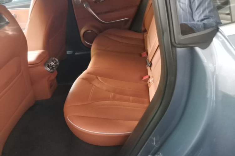 Used ORA Lightning Cat 2022 555 km Luxury Edition Left Rear Seat