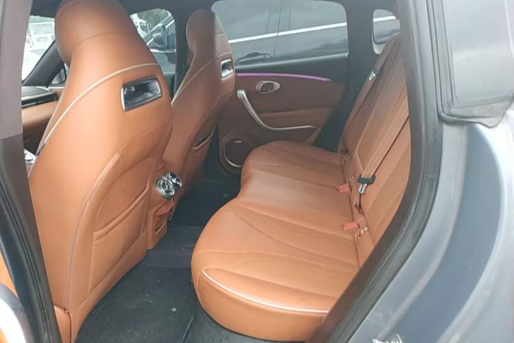 Used ORA Lightning Cat 2022 555 km Luxury Edition Left Rear Seat
