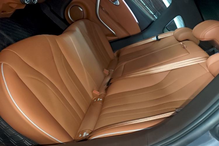 Used ORA Lightning Cat 2022 555 km Luxury Edition Left Rear Seat