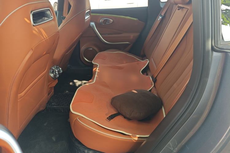 Used ORA Lightning Cat 2022 555 km Luxury Edition Left Rear Seat